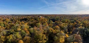 Autumn Ballenstedt Harz Aerial View Ballenstedt Castle
