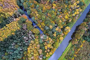 Autumn-colored trees on the Hunte