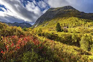 Autumn colors on the R5, Vestland, Norway