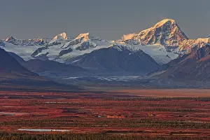 Autumn coloured tundra in front of mountains