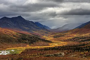 Autumn coloured tundra, mountains