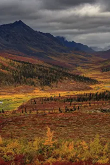 Autumn coloured tundra, mountains