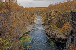 Autumn colours, Abisko Canyon with Abiskojakka stream