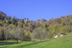 Autumn colours on the path of the big trees in the Piccolo Dolomiti