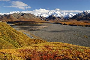 Autumn in Denali Nationalpark Alaska