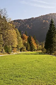 Autumn at the edge of the Alps