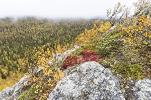 Autumn fog, Muddus National Park