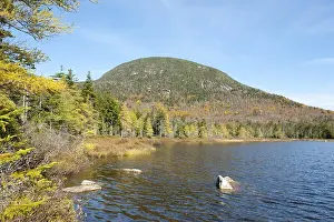 Framed Print : Autumn foliage, Indian Summer at Lonesome Lake Framed Print : Autumn foliage, Indian Summer at Lonesome Lake
