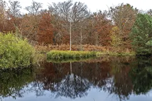 Autumn forest, autumn-colored trees reflected in the water
