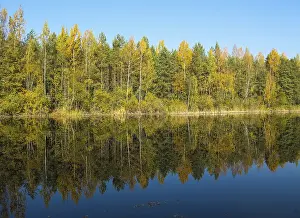 Autumn forest with a beautiful lake in sunny day