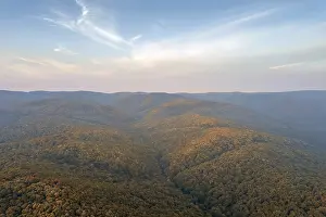 Autumn forest colorful trees and leafs aerial view