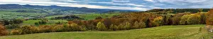 Autumn forest in the Rhon