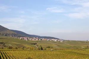 Autumn on the German Wine Route