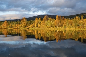 Category Scandinavia Prints: Autumn landscape, Mirroring, Kvikkjokk Delta