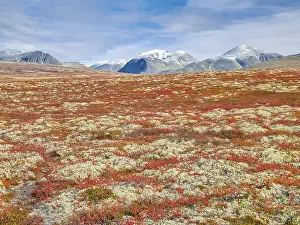 Autumn landscape in Rondane National Park