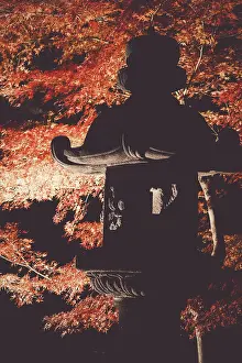 Autumn leaves image of a Japanese garden
