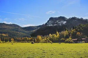 Autumn mixed forest, Jachenau, Bavaria, Germany