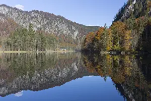 Autumn mood at lake Almsee, Gruenau