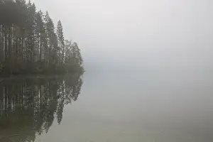 Autumn mood at lake Almsee, Gruenau
