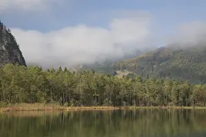 Autumn mood at lake Almsee, Gruenau