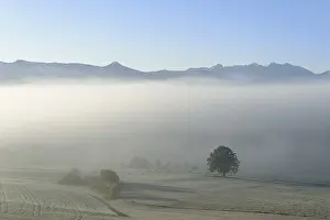 Autumn morning fog near Aidling