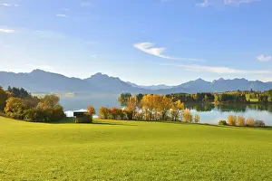 Autumn morning on Forggensee at Rosshaupten