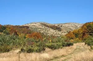 Autumn scene in mountain in sunny day
