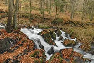 Autumn at Selke Waterfall in the Harz Mountains
