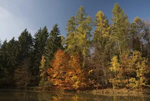 Autumn in the Steigerwald nature park Park