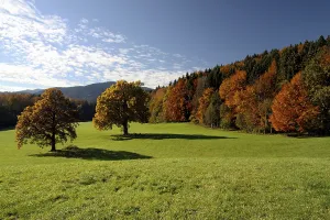 Autumn, Tegernsee, Finsterwald