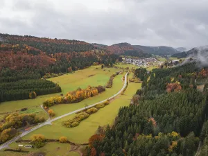 Autumn valley with colorful trees and meadows