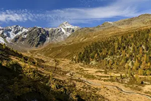 Autumn valley with stream and larches (Larix)