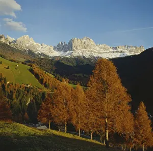 Autumn view from the Thiers Valley to the Catinaccio I-Italy/Dolomites