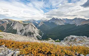 Autumn yellow bush, mountain landscape with river valley and peaks