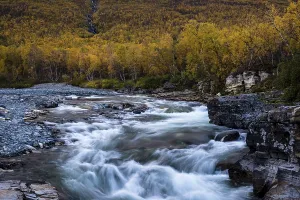 Autumnal Abisko canyon, Abiskojokk river