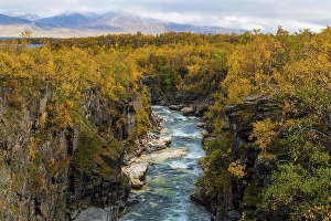 Autumnal Abisko Canyon, River Abiskojakka