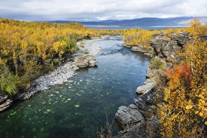 Category Scandinavia Prints: Autumnal Abisko Canyon, River Abiskojakka