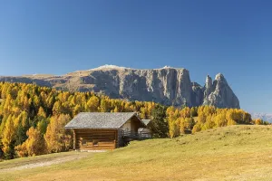 Autumnal Alpe di Siusi mountain pasture with view of the Sciliar massif