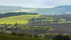 Autumnal field landscape near Possendorf in the Eastern Ore Mountains
