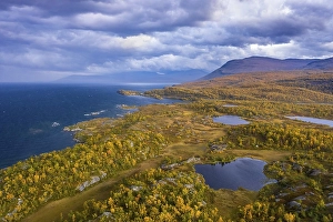 Category Scandinavia Prints: Autumnal fjeld, Lake Tornetraesk