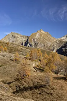Autumnal larch forests, view of the Niwen and the Loicherspitze
