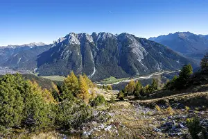 Autumnal mountain forest, yellow-coloured larches