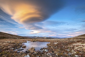 Autumnal Tundral landscape in Dovrefjell at evening mood