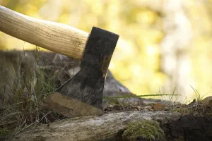 Axe or chopper stuck in a moss covered log of wood in a forest