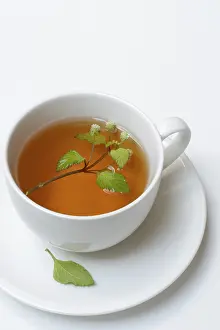 Aztec sweet herb and cup of tea, Germany