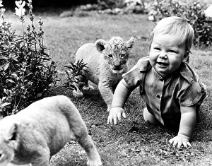 Baby and baby lion on the meadow