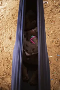 Baby child sleeping in hammock