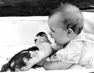 Baby plays with duck, England, Great Britain