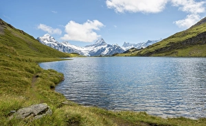 Category Mountain Landscapes Prints: Bachalpsee with summits of the Schreckhorn and Finsteraarhorn