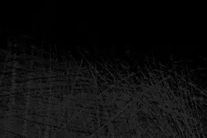 Backdrop and backgrounds texture details in abstract form